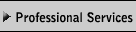 Professional Services