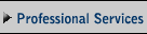 Professional Services
